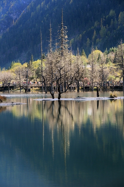 《四姑娘山风光》