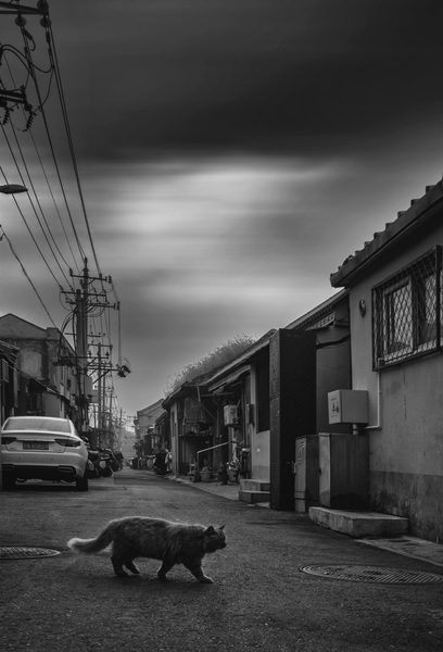 京城八大胡同