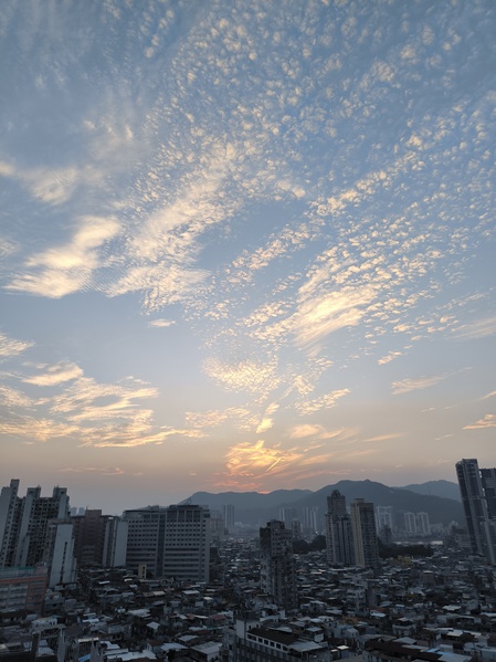 夕陽