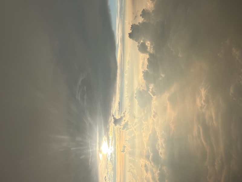 The light