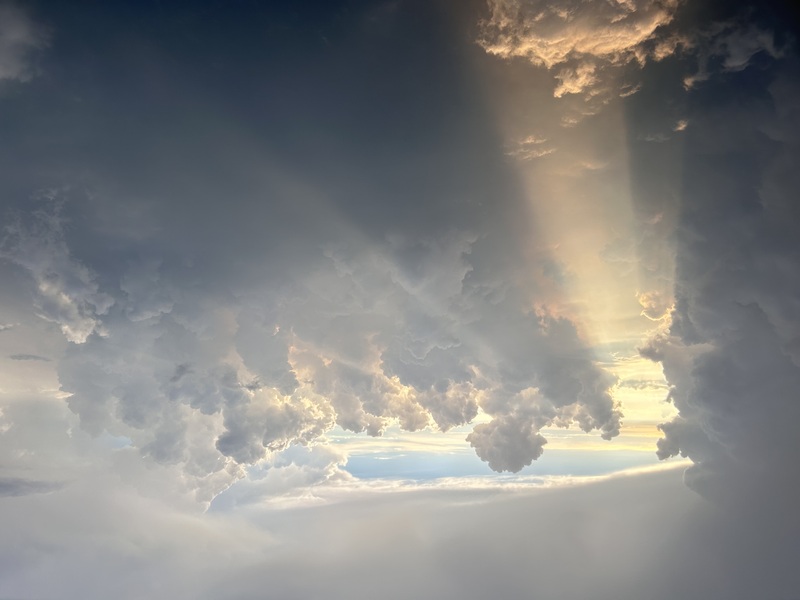 The light