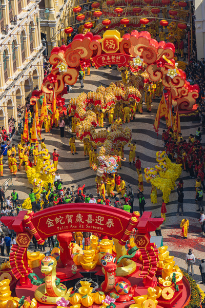 龍蛇共舞