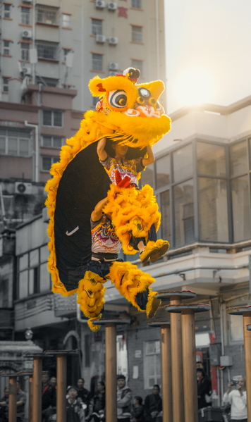 纵情一跃