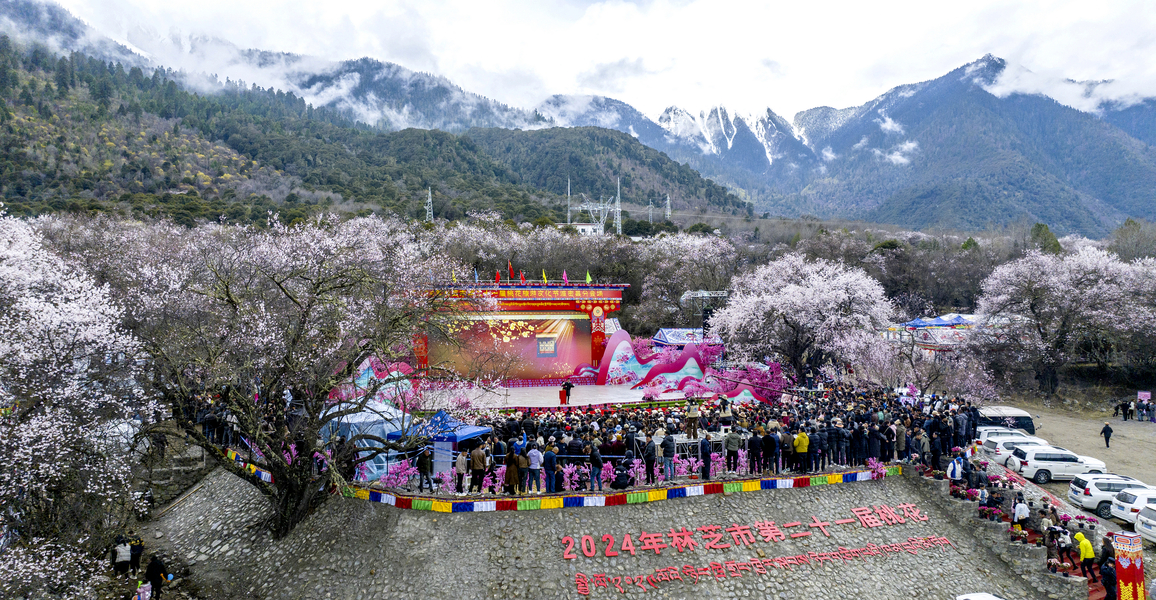 桃花节开幕式