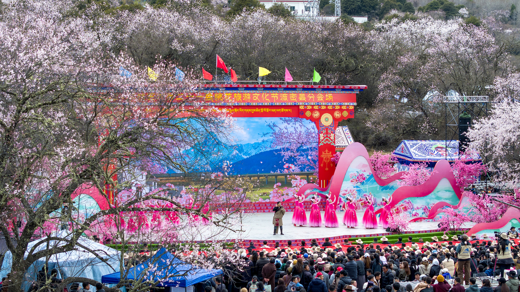 桃花节开幕式